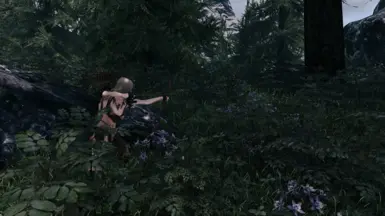 Dove on the hunt