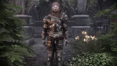 Knights of Thorn Armor - HIMBO Refit at Skyrim Special Edition Nexus ...