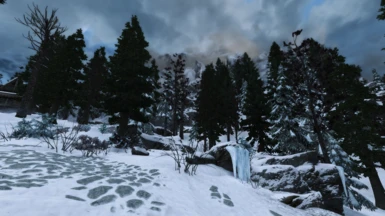 Made a mess in snowy area. Just for a proof of concept.