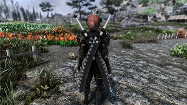 Kaine's swords