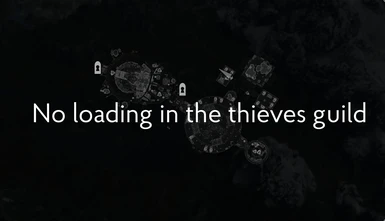 No Loading in The Thieves Guild