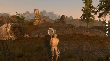 Bug Catching Net (Butterfly Net Catch) at Skyrim Special Edition Nexus -  Mods and Community