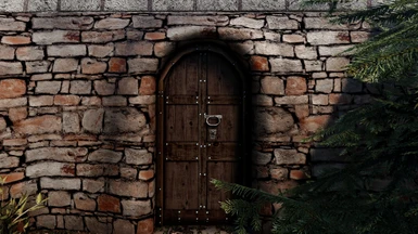 Tudor style door 1