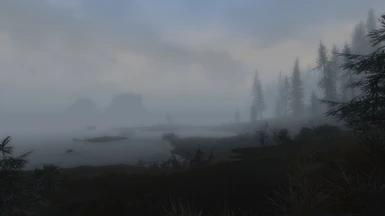 costal fog at dawn