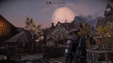 Screenshot with the HUD in action