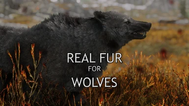 Real Fur for Wolves