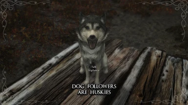 Dog Followers are Huskies - No Barking - Silent Stealth