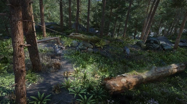 Nature of the Wild Lands -  forest and trees improvement mod