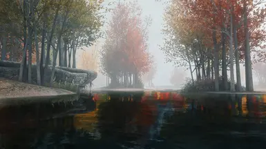 With Bjorn ENB and Reshade, Weathers for ENB, EVLAS, and several flora/texture mods.