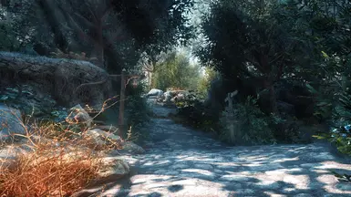 With Bjorn ENB and Reshade, Weathers for ENB, EVLAS, and several flora/texture mods.