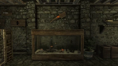 Small-Fish-Only Tank