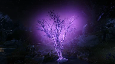 Purple ENB Light, leaves