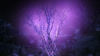 Purple ENB Light, leafless