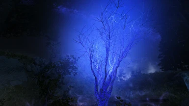 Blue ENB Light, leafless