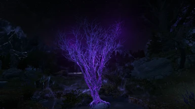 Violet ENB Light, leafless