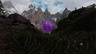 By Vivifriend (with Community Shaders)