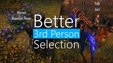 Better Third Person Selection - BTPS