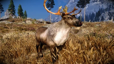 MM-Real Elks Reindeer