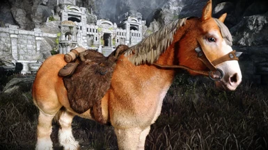 KrittaKitty's Horses - Orange Chestnut Haflinger Horse