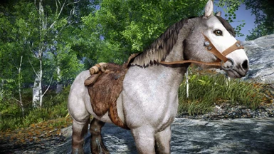 KrittaKitty's Horses - Grey Fell Pony