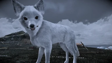 Animallica - White Fox