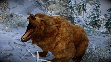 Animallica - Brown Bear