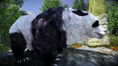 Animallica - Panda Bear