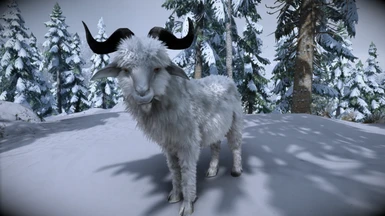 Animallica - Mountain Goat