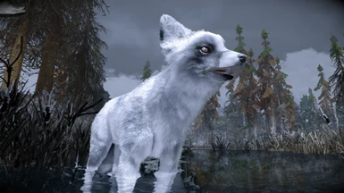 Animallica - Grey Fox