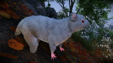 Animallica - Rat White