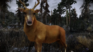 Animallica - Marsh Deer