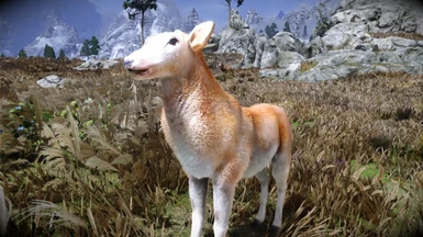 Animallica - Female Red Deer