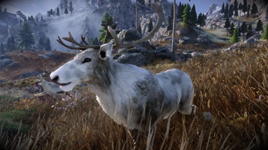 Animallica - Pied Reindeer