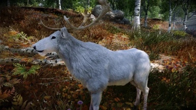 Animallica - White Reindeer