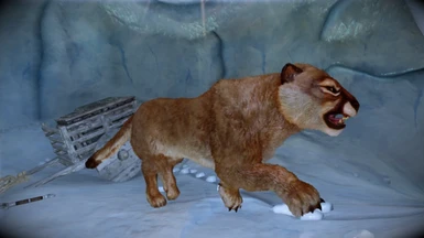 Animallica - Cougar