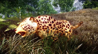 Animallica - Leopard