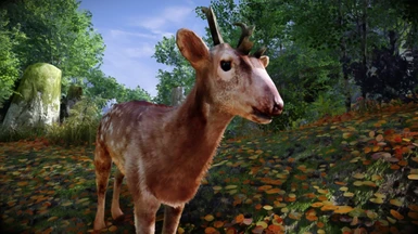 Animallica - Visayan Deer
