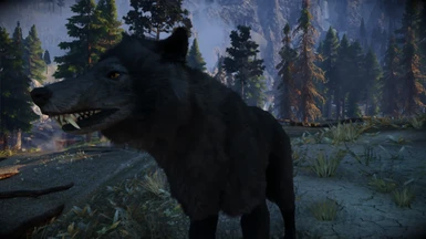 Animallica - Black Wolf
