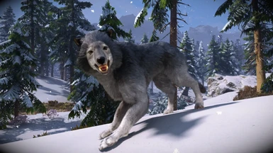 Animallica - Grey Wolf