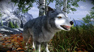 Animallica - Grey Wolf Pup