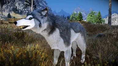Animallica - Grey Wolfdog