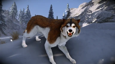 Animallica - Brown Wolfdog