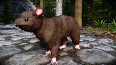 gg77 Skeever Replacer - Brown Rat