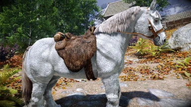 Bellyaches - White Horse