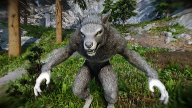 Bellyaches - Werewolf Grey