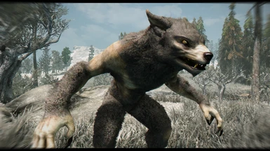 SIC - Werewolf Grey