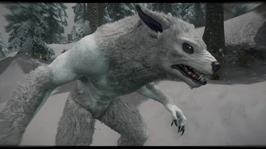 SIC - Werewolf White