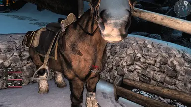 Primitive Horse Breed + Elrian Saddles