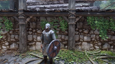 Viking's Armor, Helmet & Shield