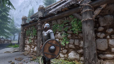 Viking's Armor, Helmet & Reinforced Wooden Shield